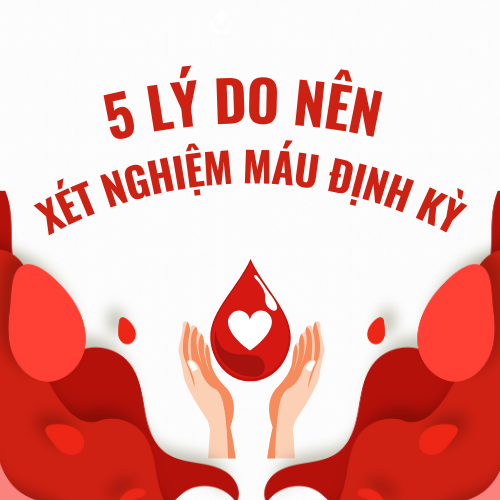 tin-tuc/5-ly-do-nen-xet-nghiem-mau-dinh-ky-de-bao-ve-suc-khoe-9131